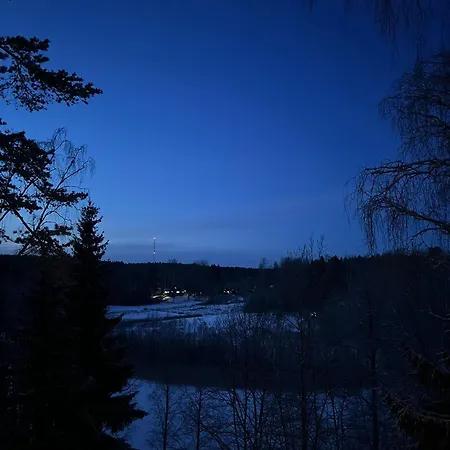 Mustikkamaa 木屋 Lohja